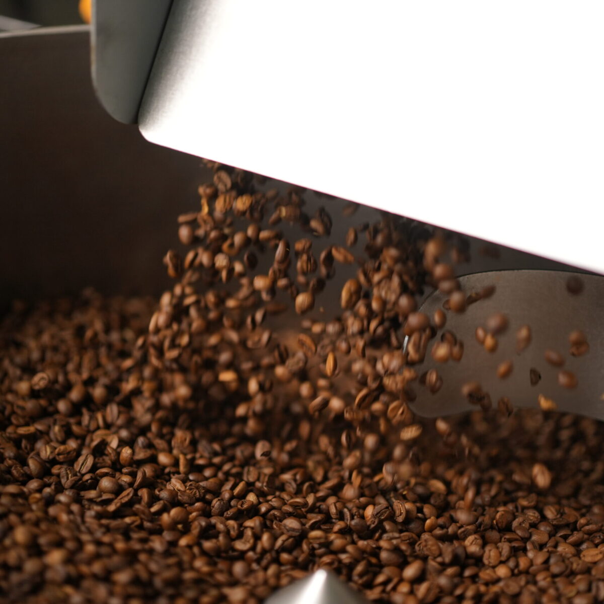 Green coffee beans